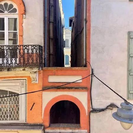 Le Carme, Au Centre Historique Apartament Montauban